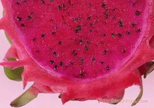 火龙果种子的营养成分有哪些？