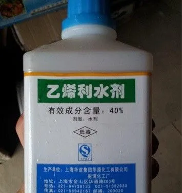 菠萝怎么用乙烯利催花？