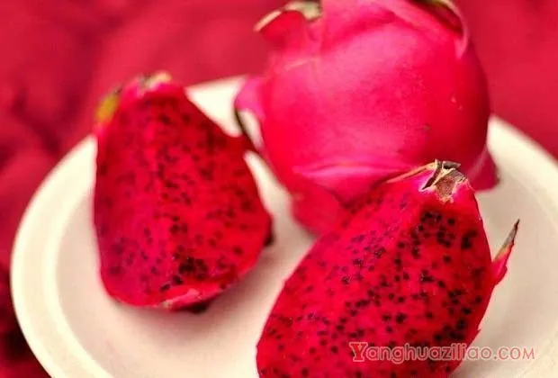 火龙果种子的营养成分有哪些？