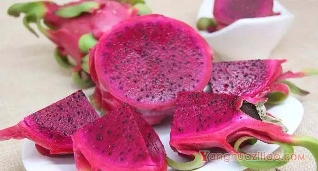 火龙果种子的营养成分有哪些？