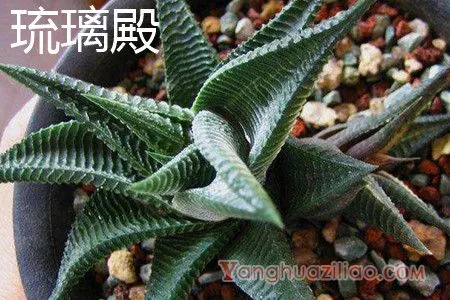 琉璃殿