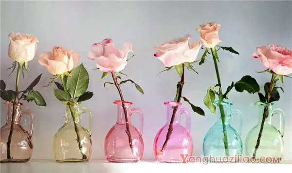 40朵玫瑰花语是什么意思，誓死不渝的爱情_花语大全