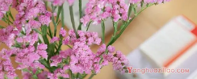 粉色勿忘我花语