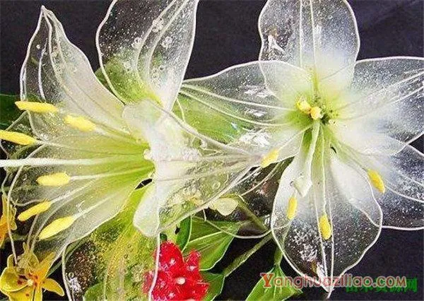 水晶花是如何制作的 水晶花有什么花语和寓意象征