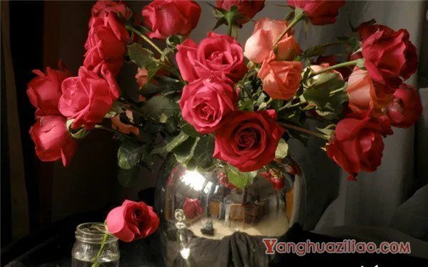 40朵玫瑰花语是什么意思，誓死不渝的爱情_花语大全