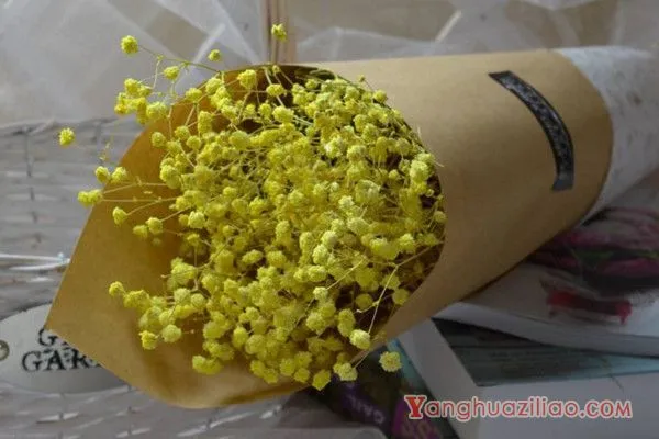 粉色勿忘我花语