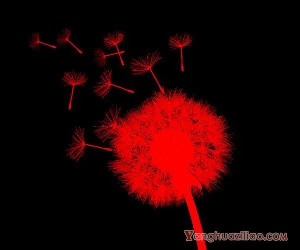 红色蒲公英的花语 至死不渝的爱