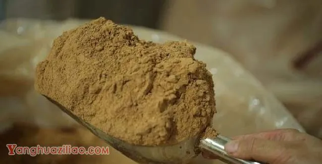 灵芝粉有毒副作用吗？