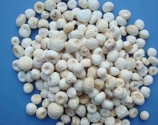 水半夏能替代半夏使用吗? 水半夏能替代半夏使用吗?