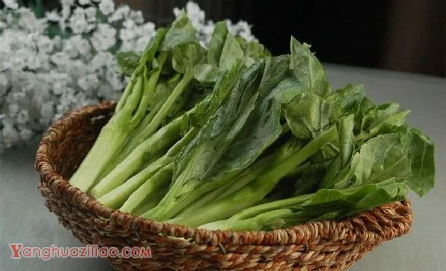 吃芥蓝有什么好处？