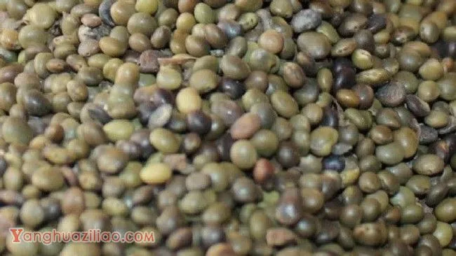甘草有几种繁殖方法？
