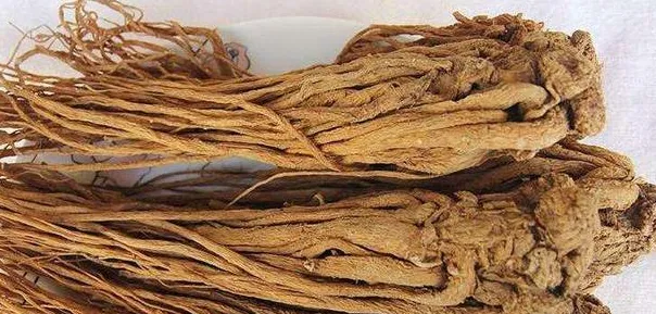 当归的功效与作用 食用时有什么禁忌