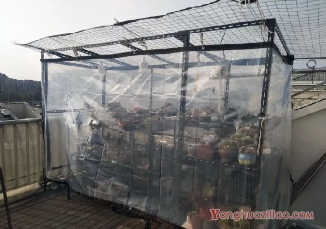 露台养多肉，你准备好了吗？