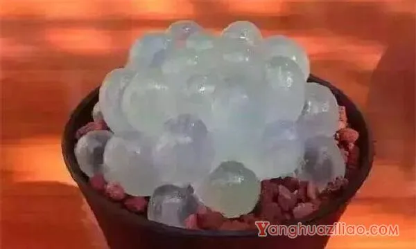 最贵的冰灯玉露130万，普货玉露10～30元/出锦后价格增百倍