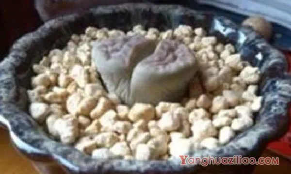 石生花皱皮是怎么回事