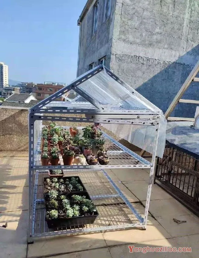 露台养多肉，你准备好了吗？