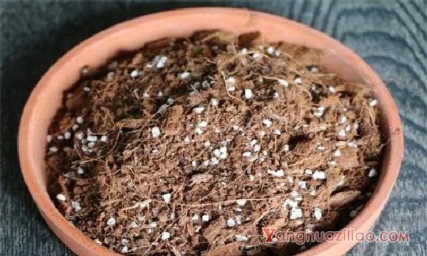 多肉土怎么配制