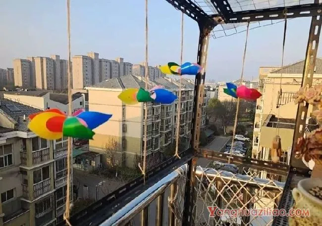 露台养多肉，你准备好了吗？